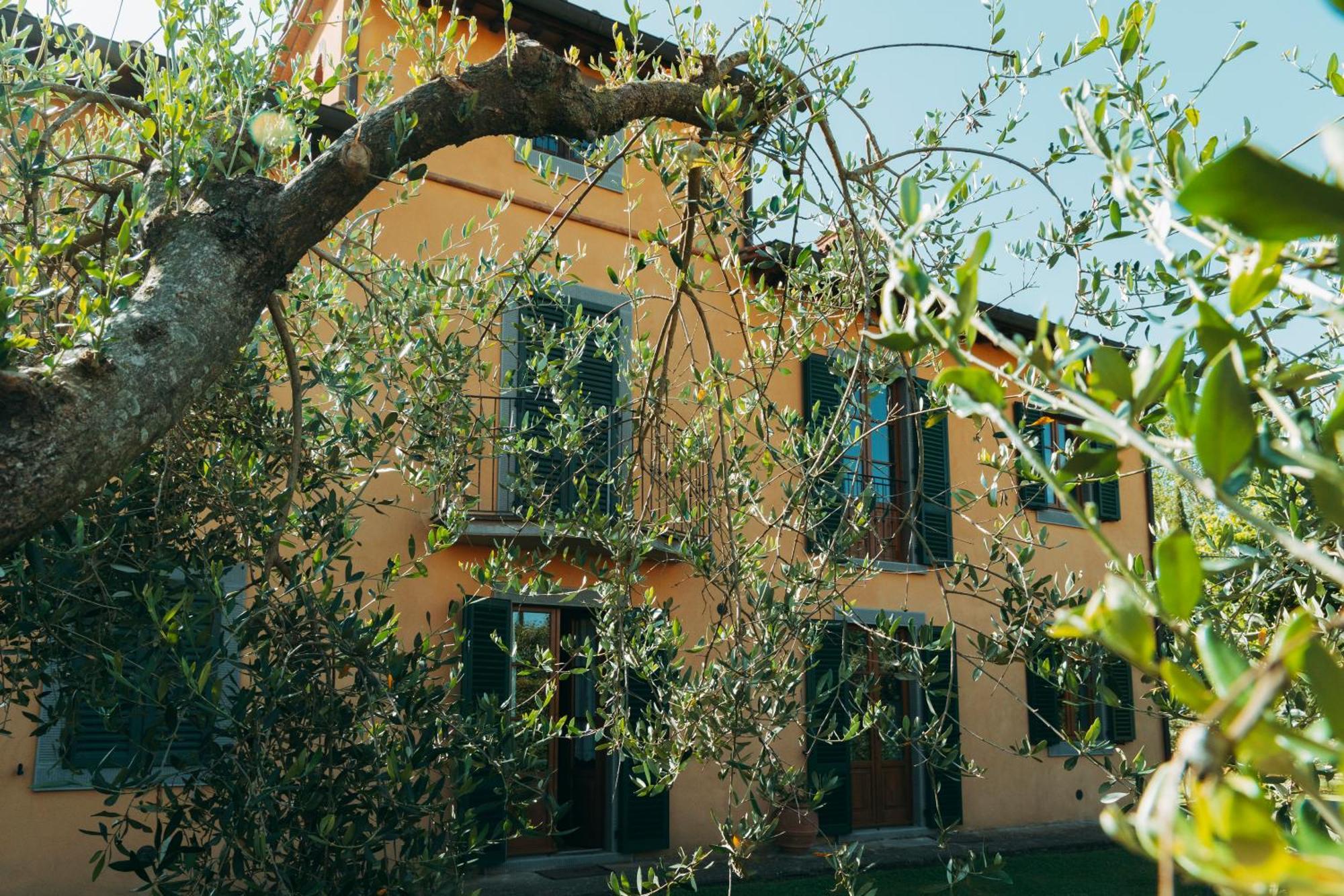 Agriturismo Il Borgo Cortona Ngoại thất bức ảnh