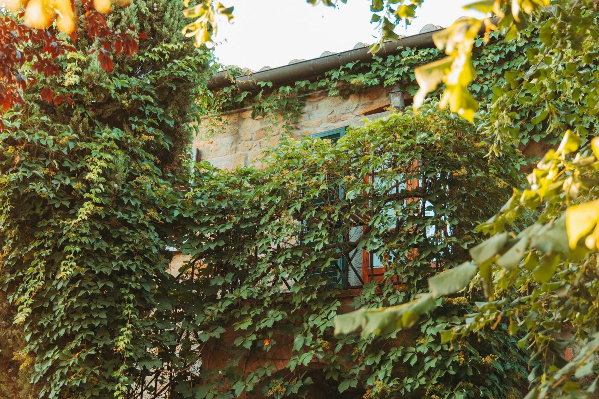 Agriturismo Il Borgo Cortona Ngoại thất bức ảnh