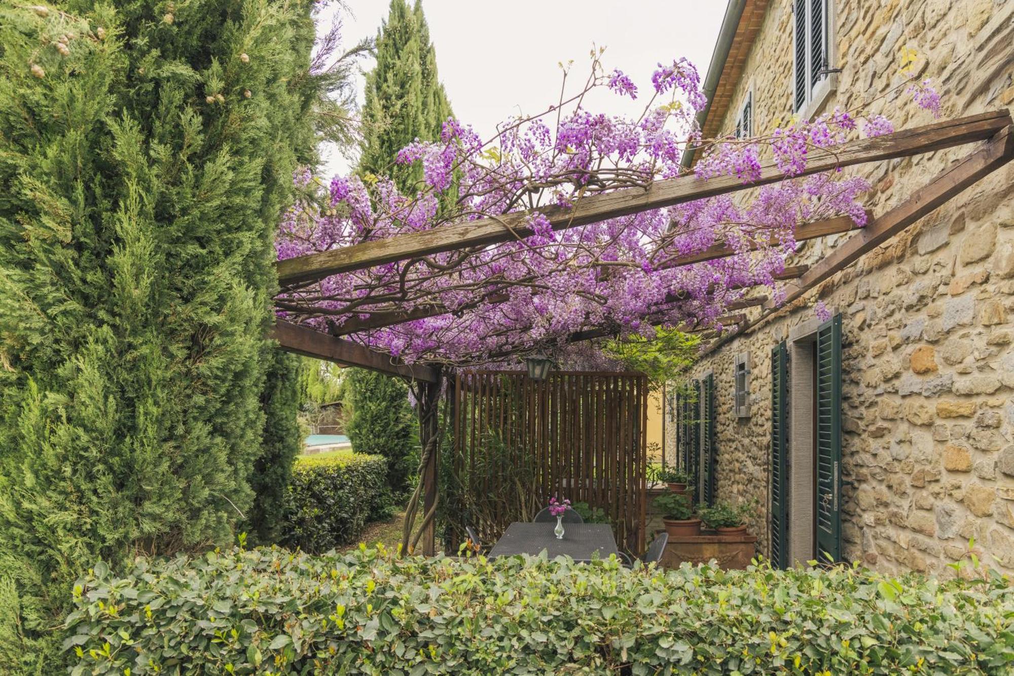 Agriturismo Il Borgo Cortona Ngoại thất bức ảnh